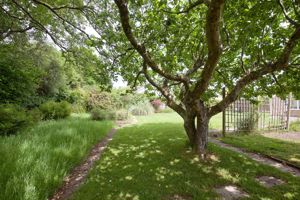 Garden- click for photo gallery